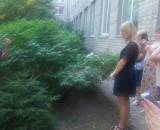 IMG-64ada163423b035f1af046d53ebcaf6a-V